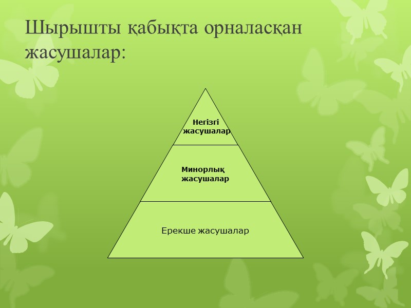 Шырышты қабықта орналасқан жасушалар: